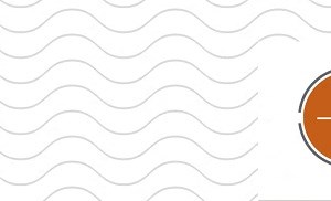 Type #2